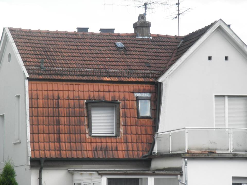 Vogt-Bedachungen-Referenz08-Vorher